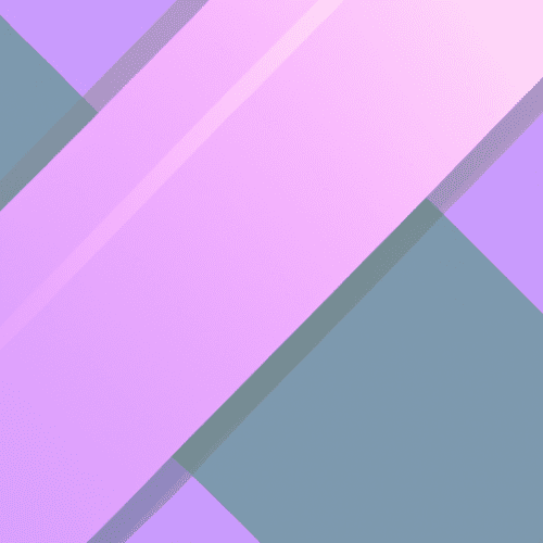 Why Social Justice and Ecology Cannot Be Separated