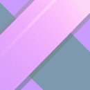 Why Social Justice and Ecology Cannot Be Separated