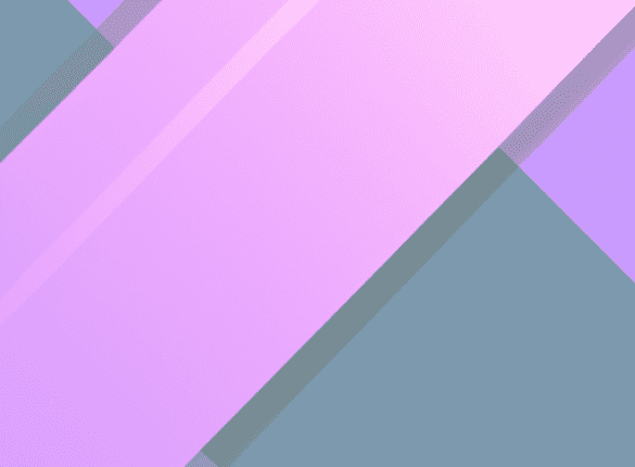 Why Social Justice and Ecology Cannot Be Separated